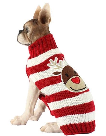 50 Cute Dog Christmas Sweaters - Cheapest Puppies Outfits