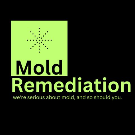 Trusted Mold Removal Company In Dubai About Us