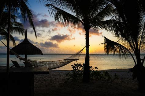 Golden sunset at the beach stock image. Image of clouds - 263372515