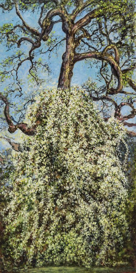 Tree With Climbing Rose Bush Painting By Rose Gennaro Pixels