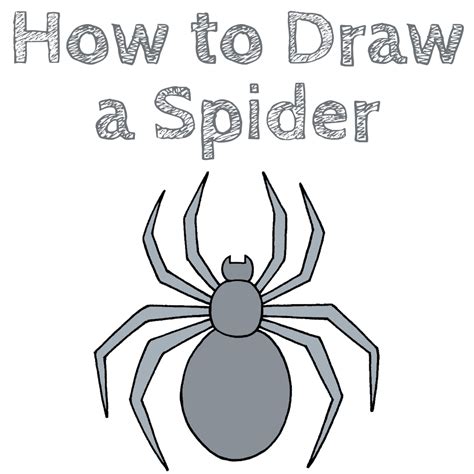 How to Draw a Spider - Draw for Kids