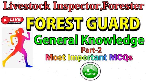 TARGET FOREST GUARD FORESTER LI 2024 OSSSC LSI Forest Guard