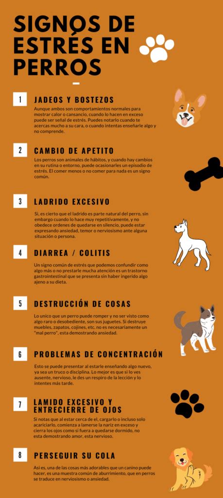 Signos De Estr S En Perros Vulpez