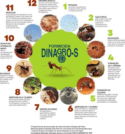 Ciclo Biológico Dinagro