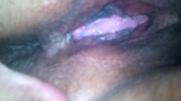 Chien Debout XVIDEOS