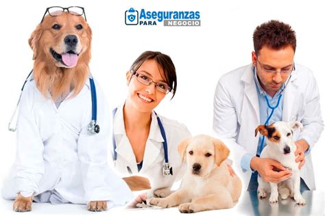 🏡 🐶mejores Aseguranzas Para Perros Y Mascotas En Los Estados Unidos Tipos De Aseguranzas