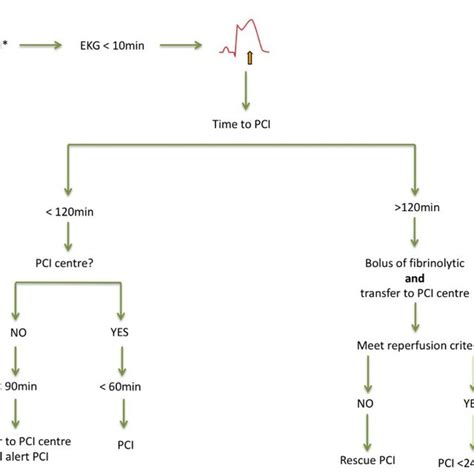 Management Of Acute St Segment Elevation Myocardial Infarction Adapted