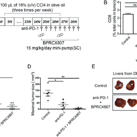 Anticancer Effects Of Bprcx With Immune Therapy In Den Ccl