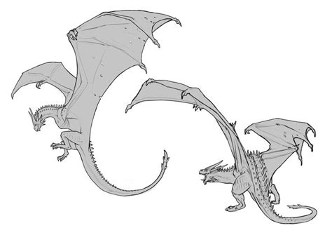 Pin By Tomas Hruška On Драконы анатомия морды артыdragons Anatomy