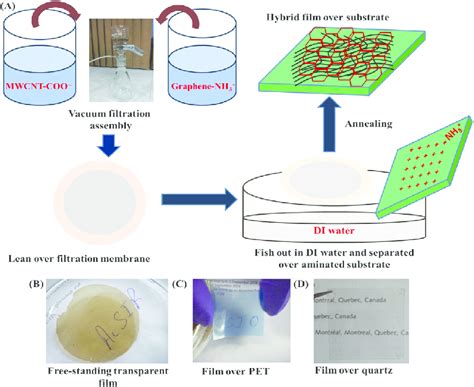 A Schematic Illustration Of Graphenemwcnt Film Synthesis From An