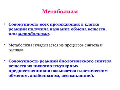 Обмен веществ и превращение энергии в клетке. Понятие метаболизма ...