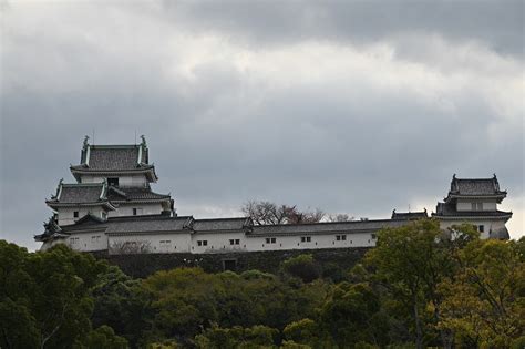 ＜城、その「美しさ」の背景＞第63回 和歌山城 家康の宿願を実現 将軍も送り出した御三家の名城 美術展ナビ