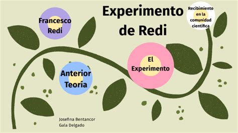 Experimento De Redi By Magical Ball8ns On Prezi