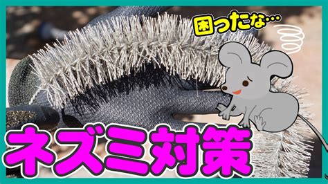 【ネズミ対策】トゲトゲのブラシがネズミの侵入を防ぐ 防鼠ブラシel ねずみは色んな場所から侵入してきます。使い方を詳しくご紹介します