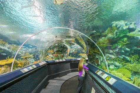 20 Things To Do In Shanghai With Kids - Family Vacation In Shanghai