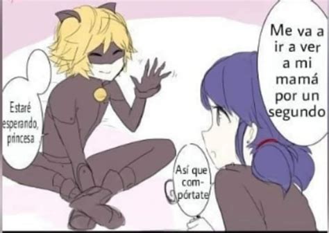 Miraculous Ladybug Cómic Marichat Miraculous Ladybug Español Amino