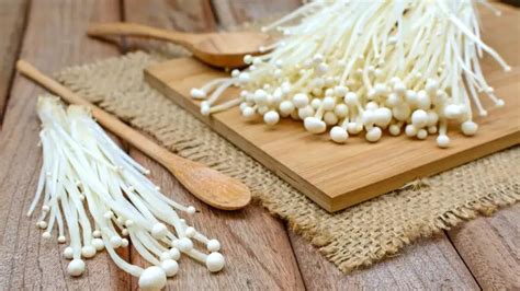 Wajib Tahu Ini Fakta Jamur Enoki Yang Jadi Penyebab Wabah Listeria