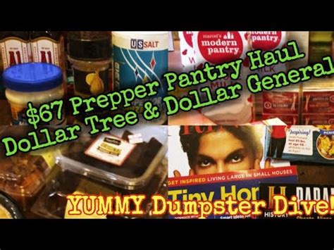 67 Prepper Pantry Dollar Tree Haul YUMMY Dumpster Diving Haul Saving