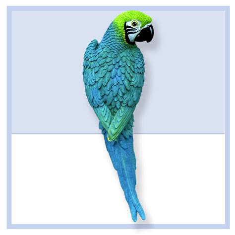 Blue green Macaw | Dänay Design