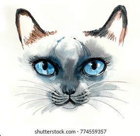 Siam Cat Blue Eyes Watercolor Sketch Stock Illustration 774559357 ...