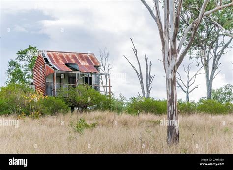 Overgrown Old Dilapidated Pioneer Homestead In The Brisbane Valley