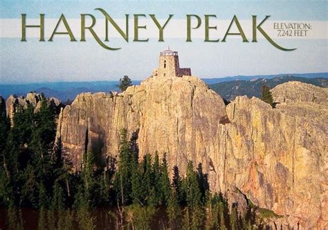 HARNEY PEAK POSTCARD – Official Collectors Club