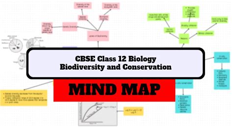 Cbse Biodiversity And Conservation Class 12 Mind Map For Chapter 13 Of