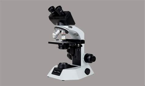 Aluminium Magnus MLX B Plus Binocular Microscope 10x At Rs 70000 In