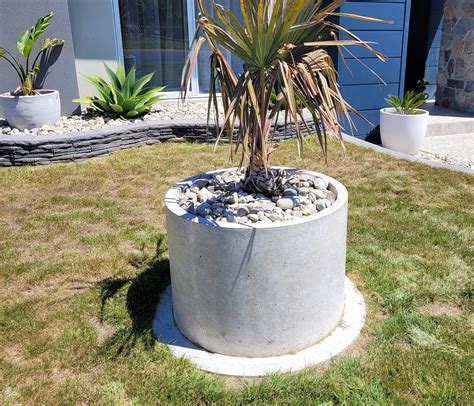 Round Concrete Planters