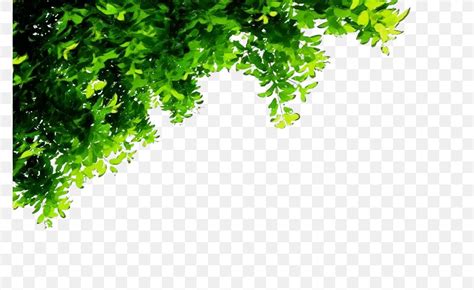 Details 100 Background Png Nature Abzlocal Mx