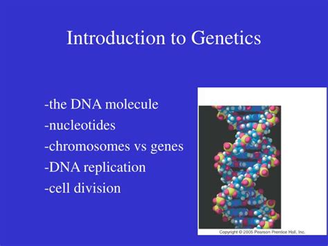 Ppt Introduction To Genetics Powerpoint Presentation Free Download Id1249519