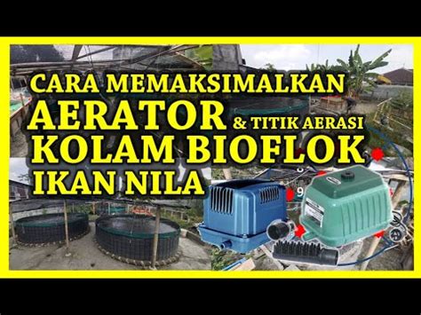 Cara Sederhana Memaksimalkan Mesin Aerator Penempatan Titik Aerasi