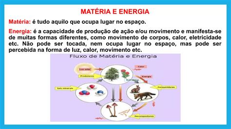 Matéria e Energia nos seres vivos.pptx