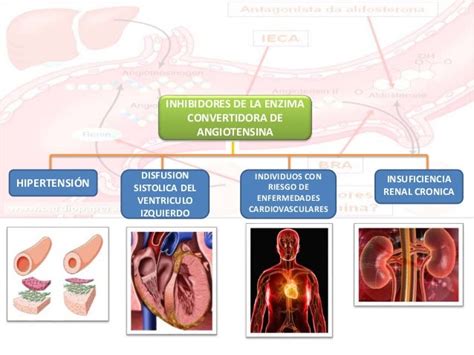 Inhibidores De La Enzima Convertidora De Angiotensina Ieca