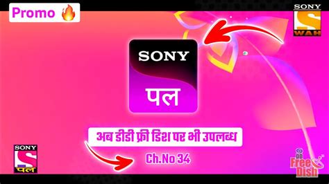 Sony Pal Launch On Dd Free Dish Dd Free Dish New Update Today Sony