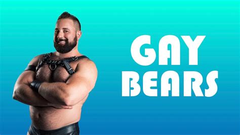 The Fuzzy World Of Gay Bears Youtube