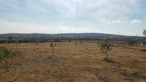 Terreno en Venta El Pino Amealco Querétaro