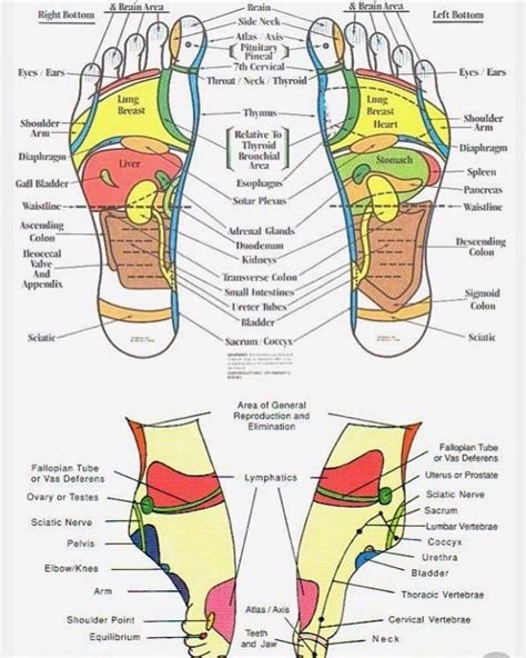 👣👣 Reflexology Sessions” Reflexology Massage Reflexology