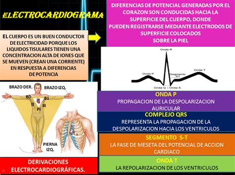 FISIOLOGIA ELECTROCARDIOGRAMA Y LOS CINCO EJEMPLOS DE ELECTROCARDIOGRAMAS