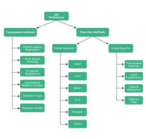 Explainable Artificial Intelligence XAI GeeksforGeeks