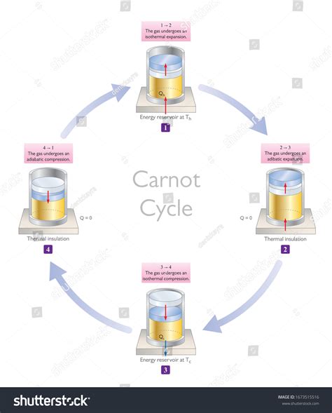 79 Carnot cycle Images, Stock Photos & Vectors | Shutterstock