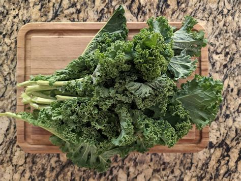 Easy Fall Kale Salad with Maple Vinaigrette