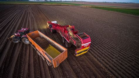 Grimme Evo Fendt Arrachage De Pomme De Terre Youtube