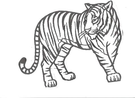 Detroit Tigers Coloring Pages At Free Printable