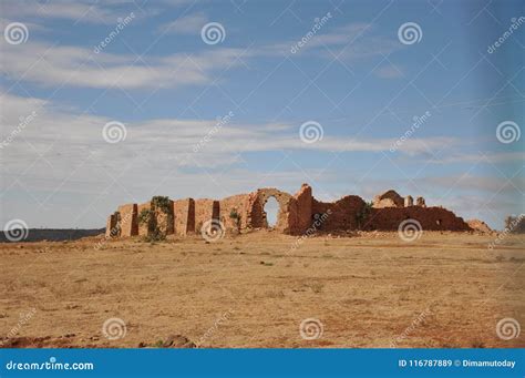 Desert Dry Soil, Plants on Desert Soil Stock Image - Image of plants ...