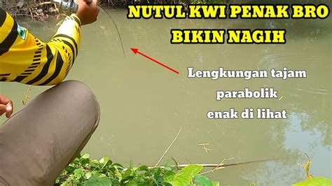 Spot Mancing Yang Bikin Nagih Mancing Melem Tehnik Nutul Youtube