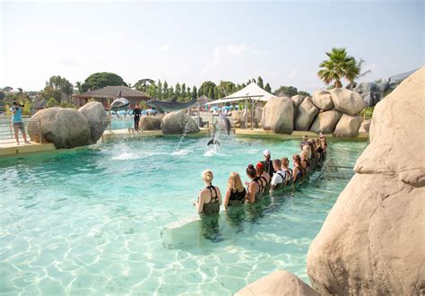 Marineland Parc Aquatique Antibes Guide Pratique Et Tarifs