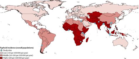 Burden Of Typhoid Fever In Low Income And Middle Income Countries A