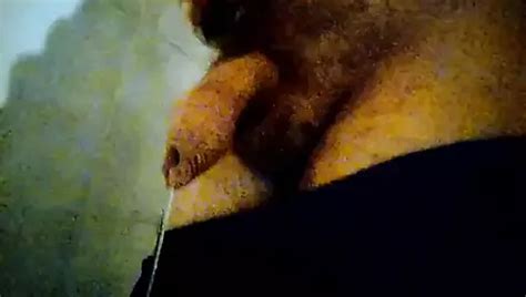 Kocalos Pissing And Licking Piss Gay Porn Xhamster