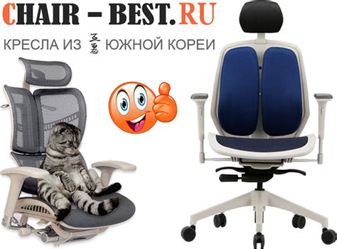Ортопедические офисные кресла. Магазин ekater.chair-best.ru - продажа ...
